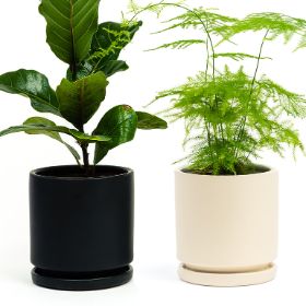 8.25" Cylinder Pots w/Water Sa